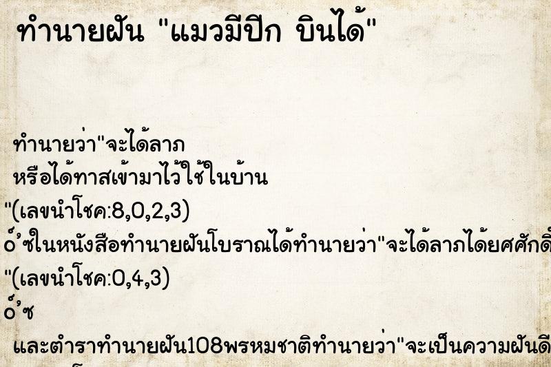 ทำนายฝันแมวมีปีกบินได้ ทำนายฝันทำนายฝันแมวมีปีกบินได้